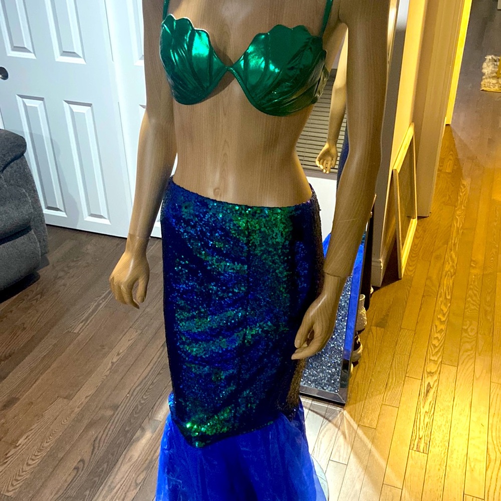 The little mermaid 🧜🏼‍♀️ costume